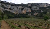 Percorso Marcia Vallon-Pont-d'Arc - grotte louoi et derocd - Photo 1