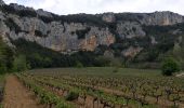 Trail Walking Vallon-Pont-d'Arc - grotte louoi et derocd - Photo 1