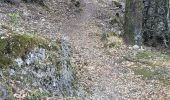 Trail Walking Moca-Croce - mont San petru - Photo 9