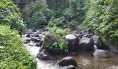 Trail Walking Le Morne-Rouge - Domaine de la vallée via Hbt Pecoul - Photo 13