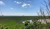 Tocht Stappen Genêts - Genêts - la pointe du groin sud - Photo 6