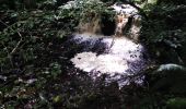 Randonnée Marche Belfast - glenarif forest park - waterfalls - Photo 6