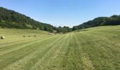 Excursión Senderismo Hostun - Les Marchands au départ de St Martin d’Hostin - Photo 1