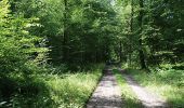 Randonnée Marche Momignies - Momignies - Circuit Natura 2000, des sites qui valent le détour - Ht08 - Photo 1