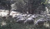 Tocht Noords wandelen Lans-en-Vercors - La Moucherotte - Photo 13