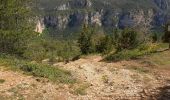 Randonnée Autre activité Massegros Causses Gorges - circuit pour canyon Gorges du Tarn  les Paillasses - Photo 1