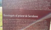 Excursión Senderismo Boule-d'Amont - Serra une - Photo 1