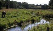 Tocht Te voet Grevenkrug - Eidertal Wanderweg - Photo 7