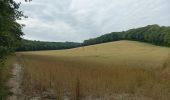 Trail Walking Prugny - Randonnée club Joie de Vivre - Photo 1
