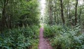 Tocht Te voet Langenfeld (Rheinland) - Engelsberg Rundweg A3 - Photo 9