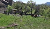 Randonnée Marche Aínsa-Sobrarbe - el grado Guaso Sierra puis voiture jusqu'à Sarratillo - Photo 1