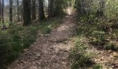 Tour Wandern Ferrières - Adeps  10 Km à Burnontige  - Photo 1