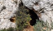 Tocht Stappen Ollioules - Les grottes de Chateauvallon - Photo 13