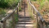 Trail Walking Bergen (NH) - Schoorl - Duinen - Photo 11