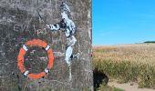 Trail Walking Tardinghen - parking du chapelet  - batterie todt, via campagne, retour par les falaises - Photo 9