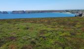 Excursión Senderismo Camaret-sur-Mer - PR12 de Pen Hir à Camaret et retour - Photo 2