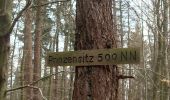 Trail On foot Wilhelmsfeld - Rundwanderweg Wilhelmsfeld 6: Holzapfelbaum-Weg - Photo 10