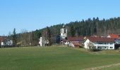 Tour Zu Fuß Teisnach - Rollersau-Rundweg - Photo 1