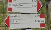Tour Zu Fuß La Morra - Sentiero delle Grandi Vigne - Photo 1