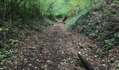 Tour Wandern Anhée - Boucle Anhée - poilvache - les roches yvoir - Photo 9