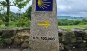 Trail Walking Sarria - Sarria Portomarin  - Photo 10