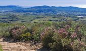 Tocht Stappen Le Castellet - vers le fou de Ceyrestes - Photo 1