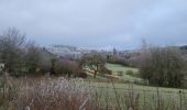 Tour Wandern Libin - Redu 311224 - Photo 1