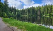 Tocht Stappen Hinterzarten - Hinterzarten - Mathisleweiher - Photo 1