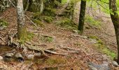 Trail Walking Saint-Julien - Le tour des jasses : Bourdils Chavardes Landres Bramefan - Photo 13