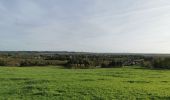 Tocht Stappen Voeren - Fouron-le-Comte (Balade 3) - Photo 3