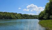 Randonnée Marche La Tour-du-Meix - A la découverte du lac de Vouglans 🥾 - Photo 8