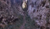 Randonnée Trail Belgentier - Les aiguilles de Valberg et une arche - Photo 1