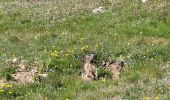 Trail Walking Val-Cenis - 180724 - Photo 3