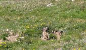 Tocht Stappen Val-Cenis - 180724 - Photo 3