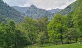 Randonnée Marche Metzeral - Sentier historique - Mittlach - Fischboedle - Photo 7