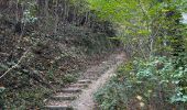 Trail Walking Bassenge - La montagne Saint-Pierre d’Eben - Photo 13