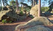 Randonnée Marche Fontainebleau - Fontainebleau sentier Denecourt 3 - Photo 11