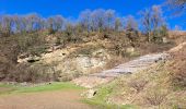 Tour Wandern Comblain-au-Pont - mur géologique -03_04_2023 - Photo 5