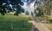 Tour Wandern Embrun - rando suf le mpny guillaume montée par le torrent de Marthe  descentr par la route forestière de bois de  Vezin   - Photo 4