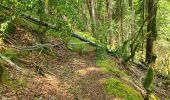 Trail Walking Vulvoz - fin vulvoz cascade embranch.choux - Photo 1
