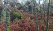 Trail Walking Fontainebleau - vert galant 25 novembre 2022  - Photo 7