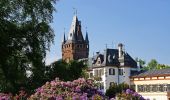 Tour Zu Fuß Weinheim - Rundwanderweg 3: Großer Rundweg - Photo 2