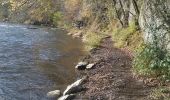 Tocht Stappen Bouillon - Laddertjeswandeling-Poupehan-Cretes de Frahan - Photo 1