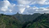 Randonnée Marche San Cristóbal de La Laguna - Las Carbonaras Chimada AR - Photo 5