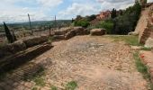Excursión A pie Certaldo - Dolce campagna, antiche mura 8 - Photo 7