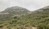 Trail Walking Allauch - Allauch - Photo 2