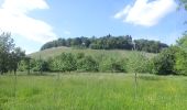 Trail On foot Ludwigsburg - DE-SAV Rotes Kreuz, Lemberg-Poppenweiler - Photo 6