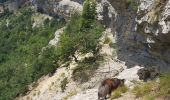 Tour Wandern Laval-d'Aix - Abbaye Valcroissant - Photo 12