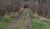 Trail Walking Coursac - boucle du rosier marche bleue - Photo 3