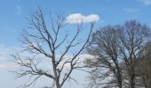 Tour Wandern Durbuy - entre le menhir Pire Hena et le dolmen de Weris ... wouai... - Photo 6